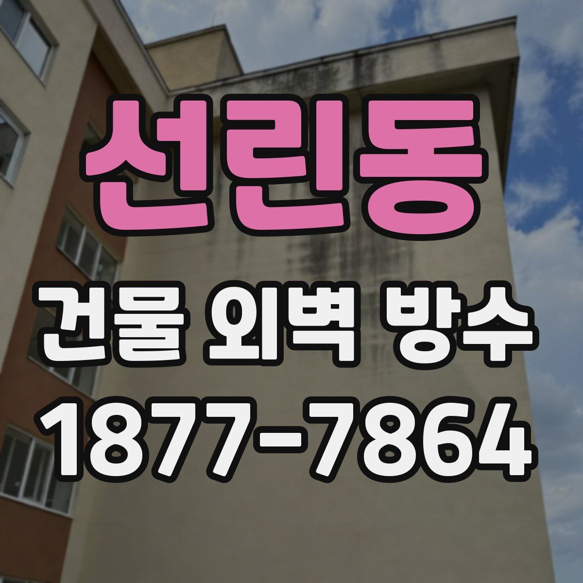 선린동 건물 외벽 방수