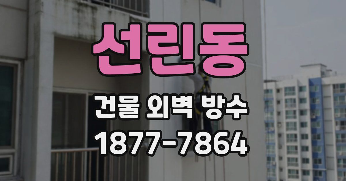 선린동 건물 외벽 방수