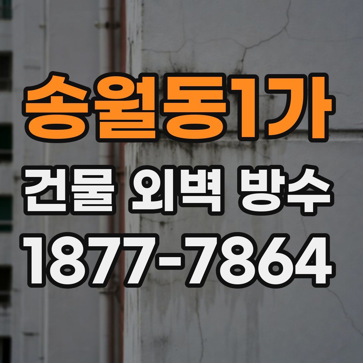 송월동1가 건물 외벽 방수