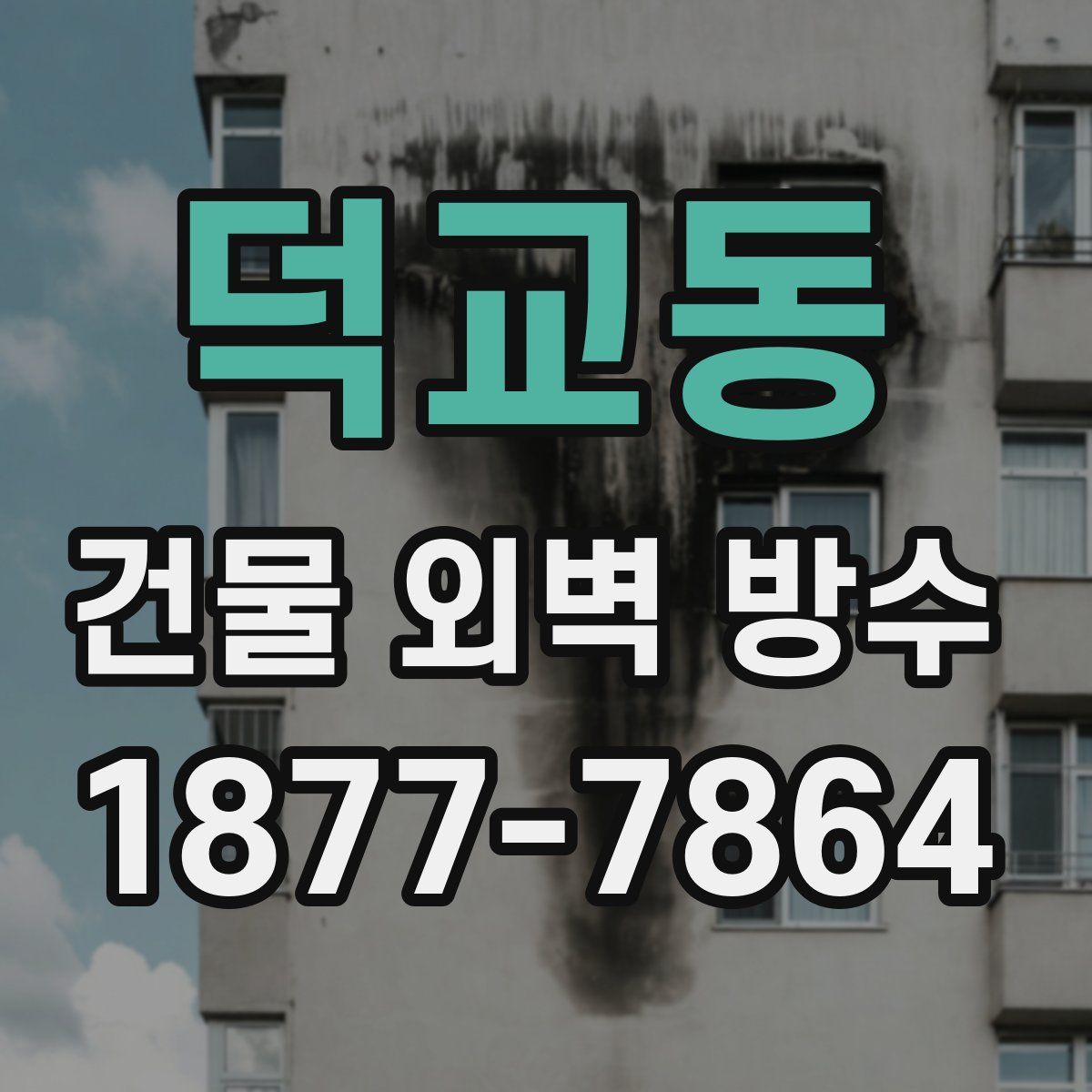 덕교동 건물 외벽 방수