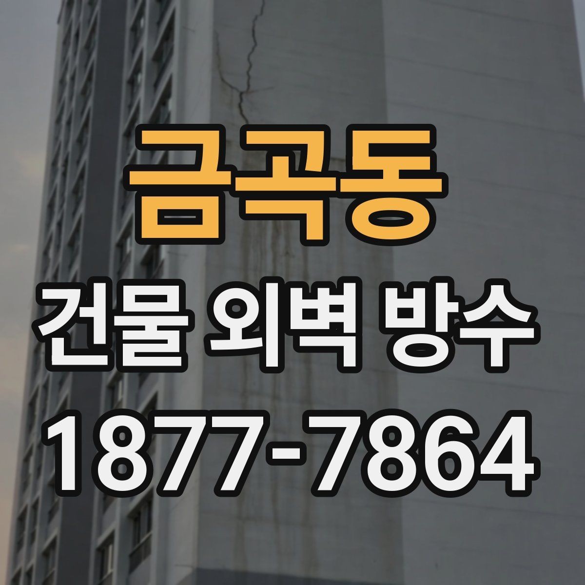 금곡동 건물 외벽 방수 진행 전 주변 환경도 확인해야 하는 이유