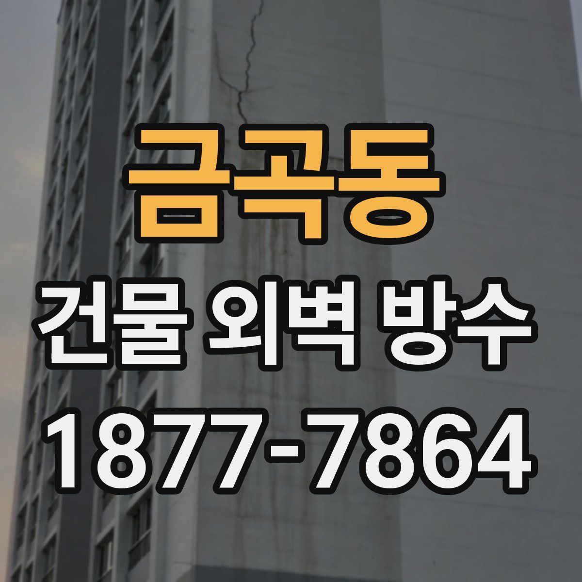 금곡동 건물 외벽 방수