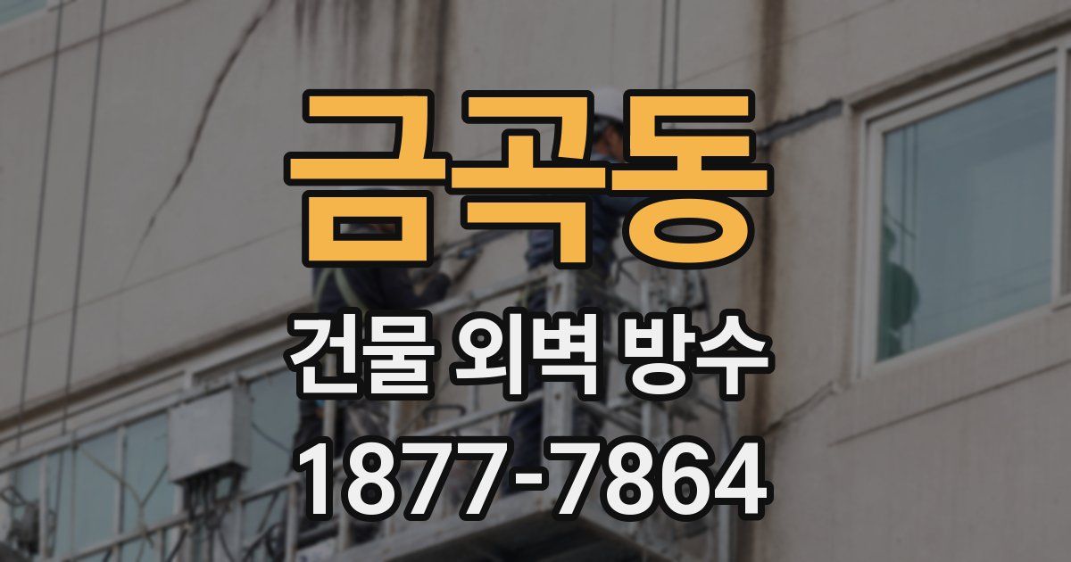 금곡동 건물 외벽 방수