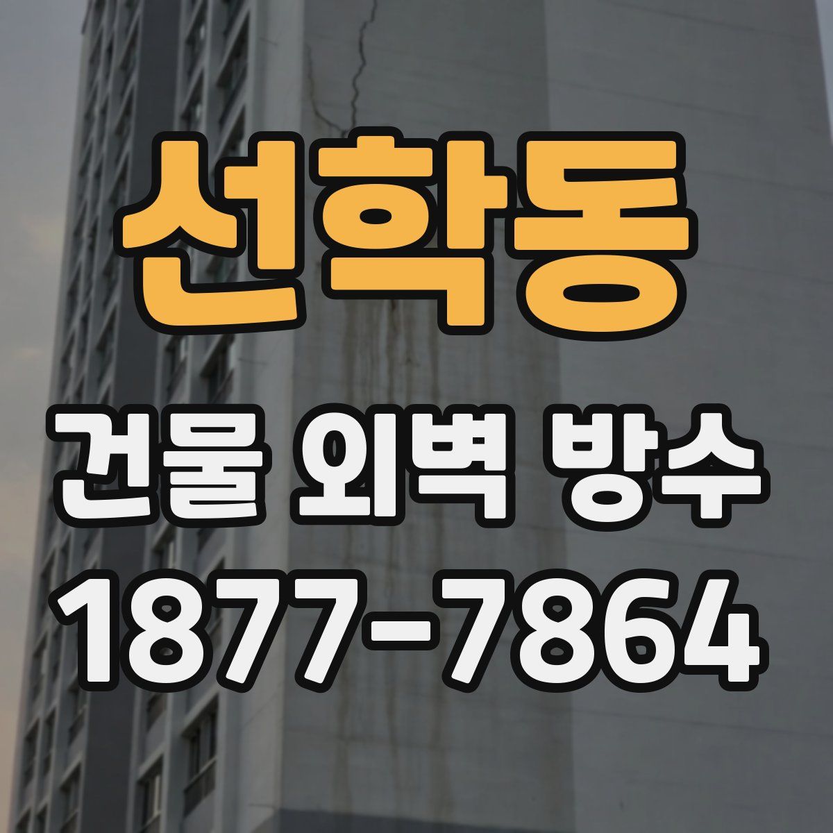 선학동 건물 외벽 방수