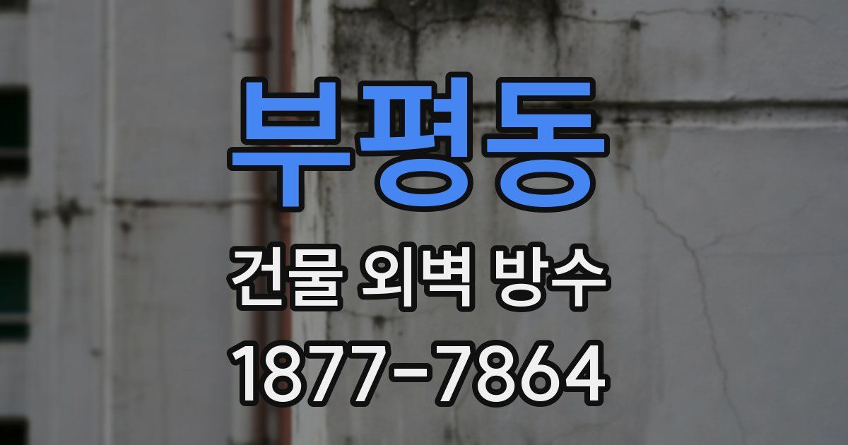 부평동 건물 외벽 방수
