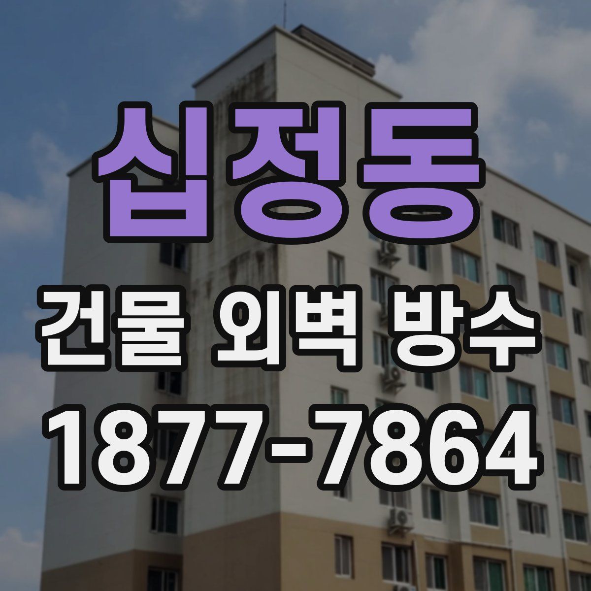 십정동 건물 외벽 방수
