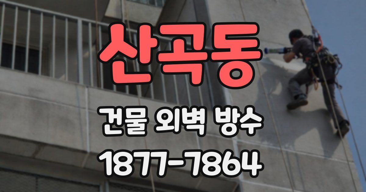 산곡동 건물 외벽 방수