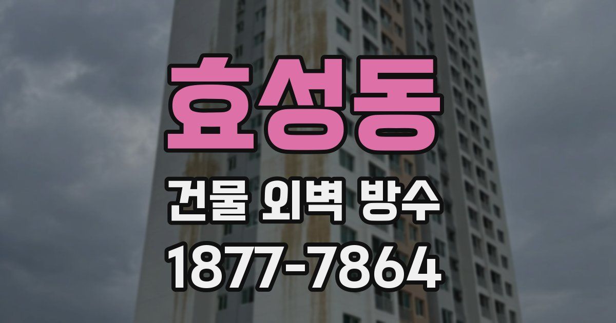 효성동 건물 외벽 방수