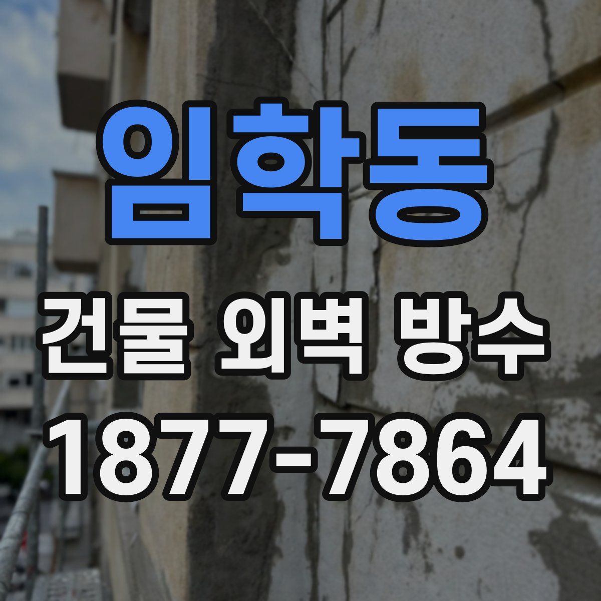 임학동 건물 외벽 방수