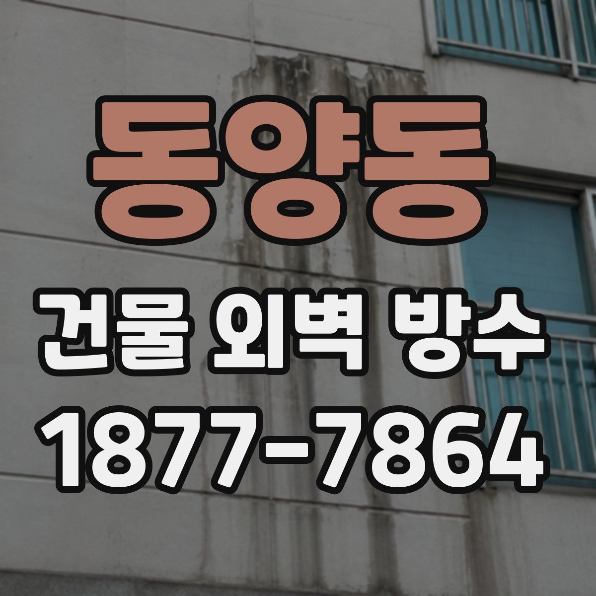 동양동 건물 외벽 방수