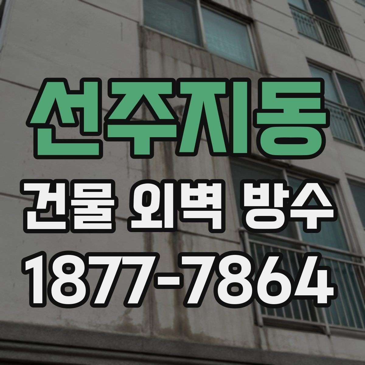 선주지동 건물 외벽 방수 시공 사례로 알아보는 참고점