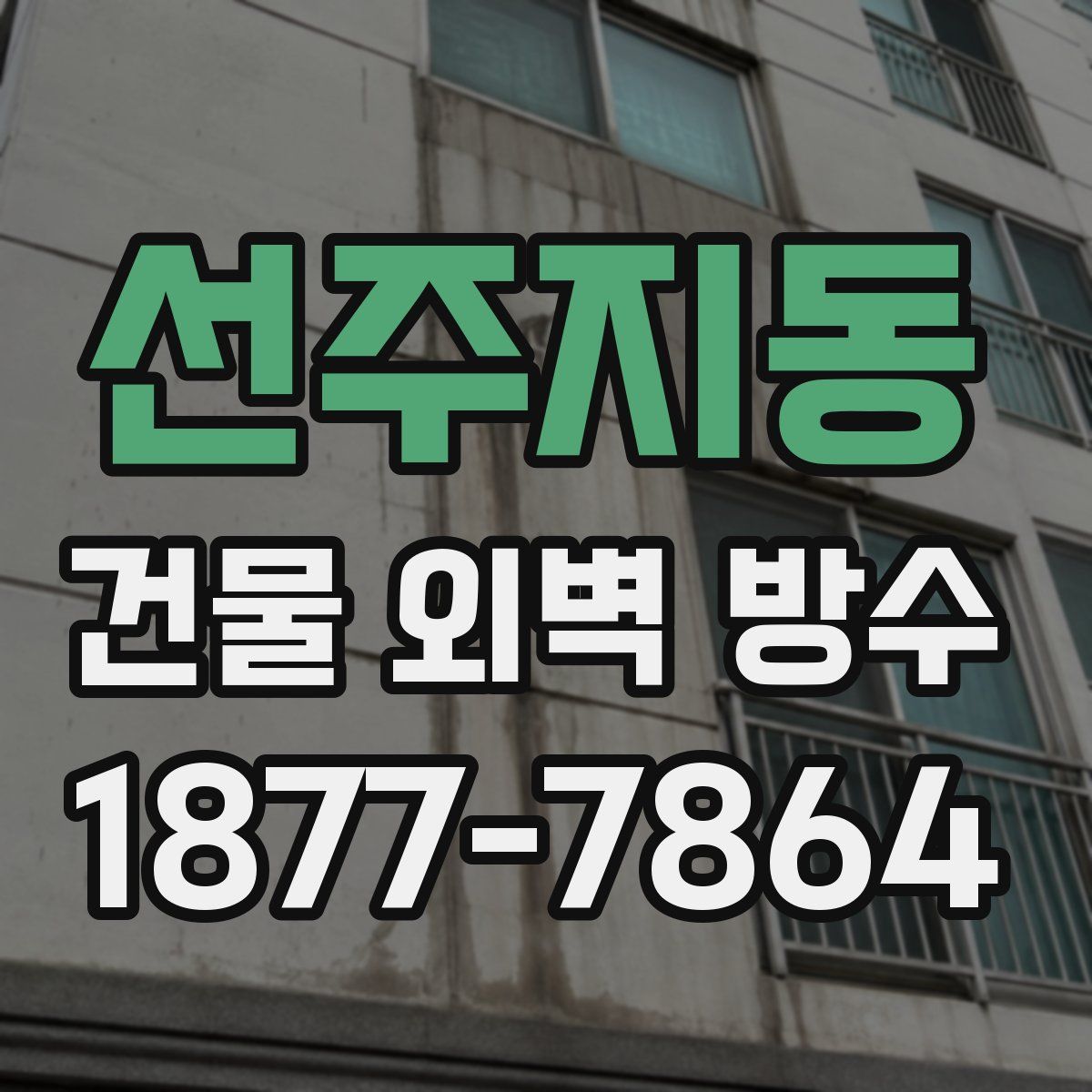 선주지동 건물 외벽 방수