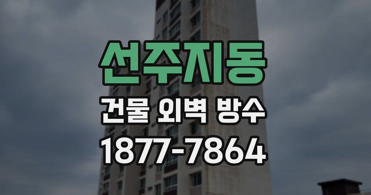 선주지동 건물 외벽 방수