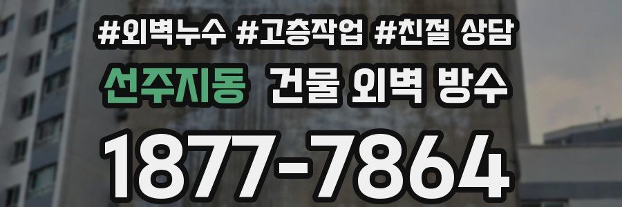 선주지동 건물 외벽 방수