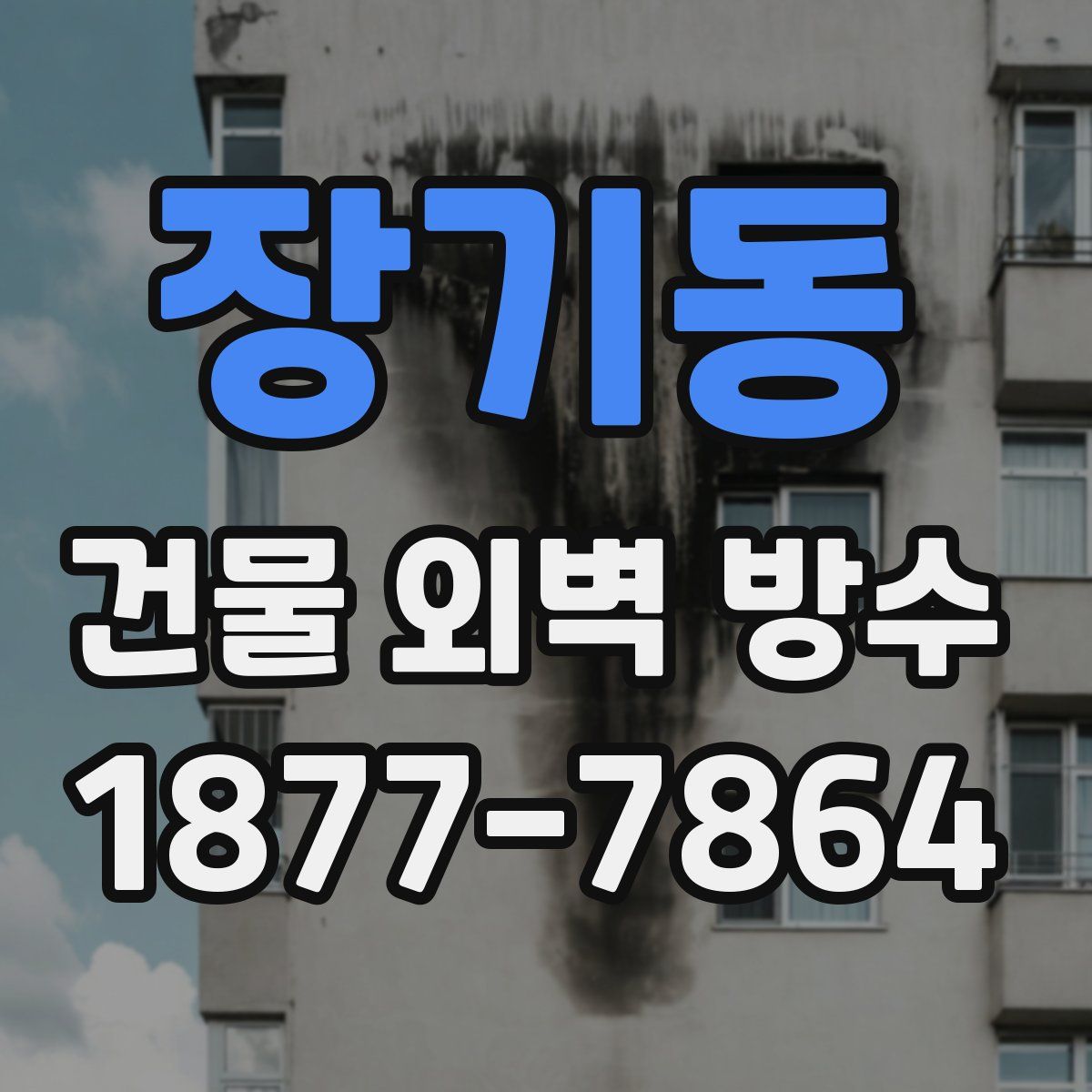 장기동 건물 외벽 방수