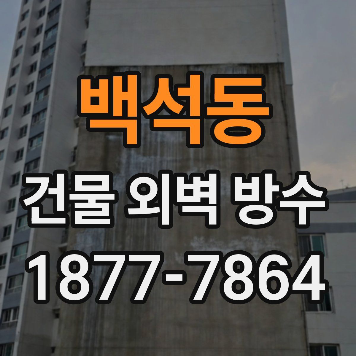 백석동 건물 외벽 방수