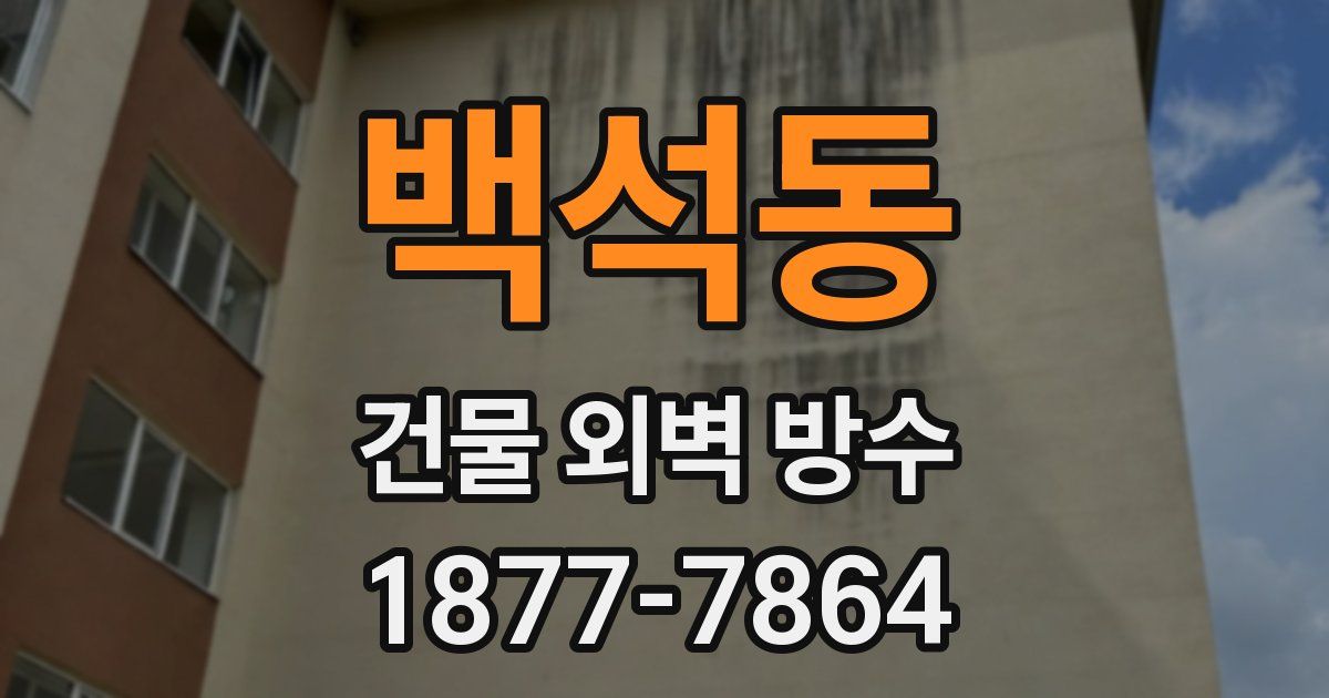 백석동 건물 외벽 방수