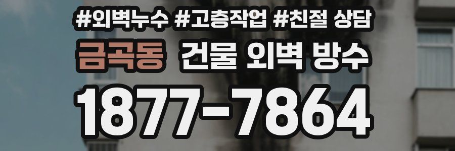 금곡동 건물 외벽 방수
