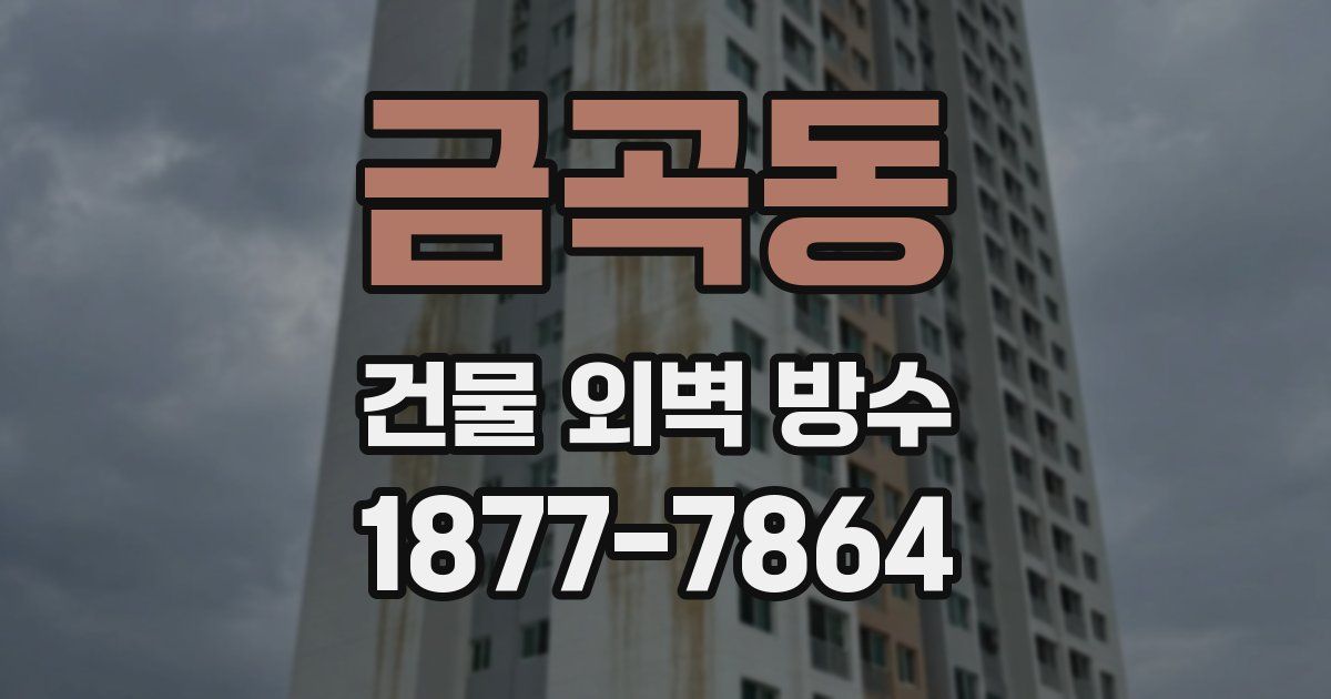 금곡동 건물 외벽 방수