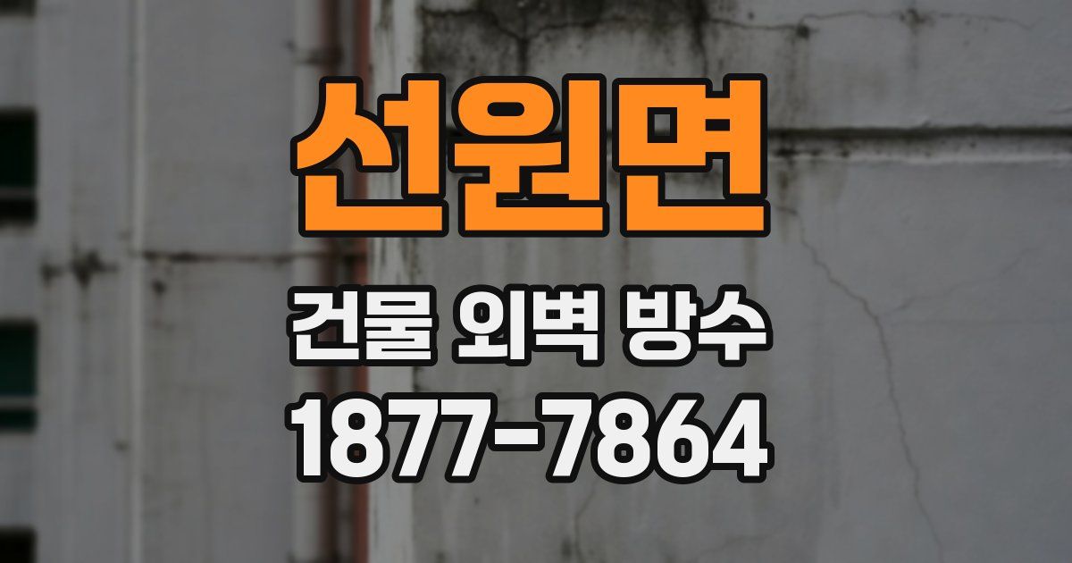 선원면 건물 외벽 방수