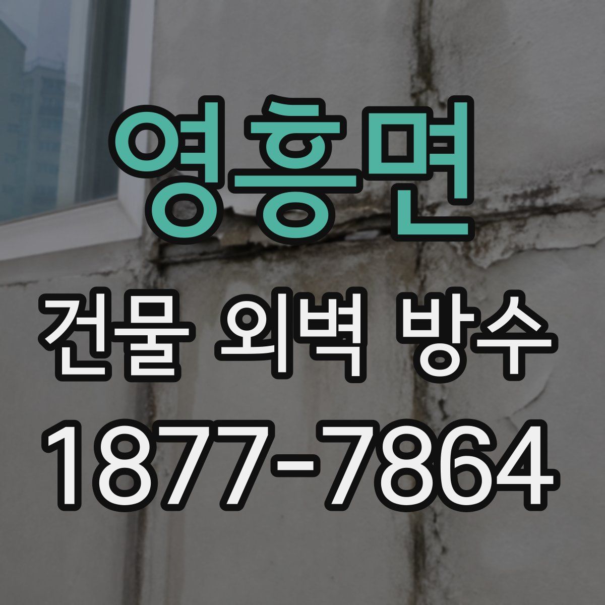 영흥면 건물 외벽 방수
