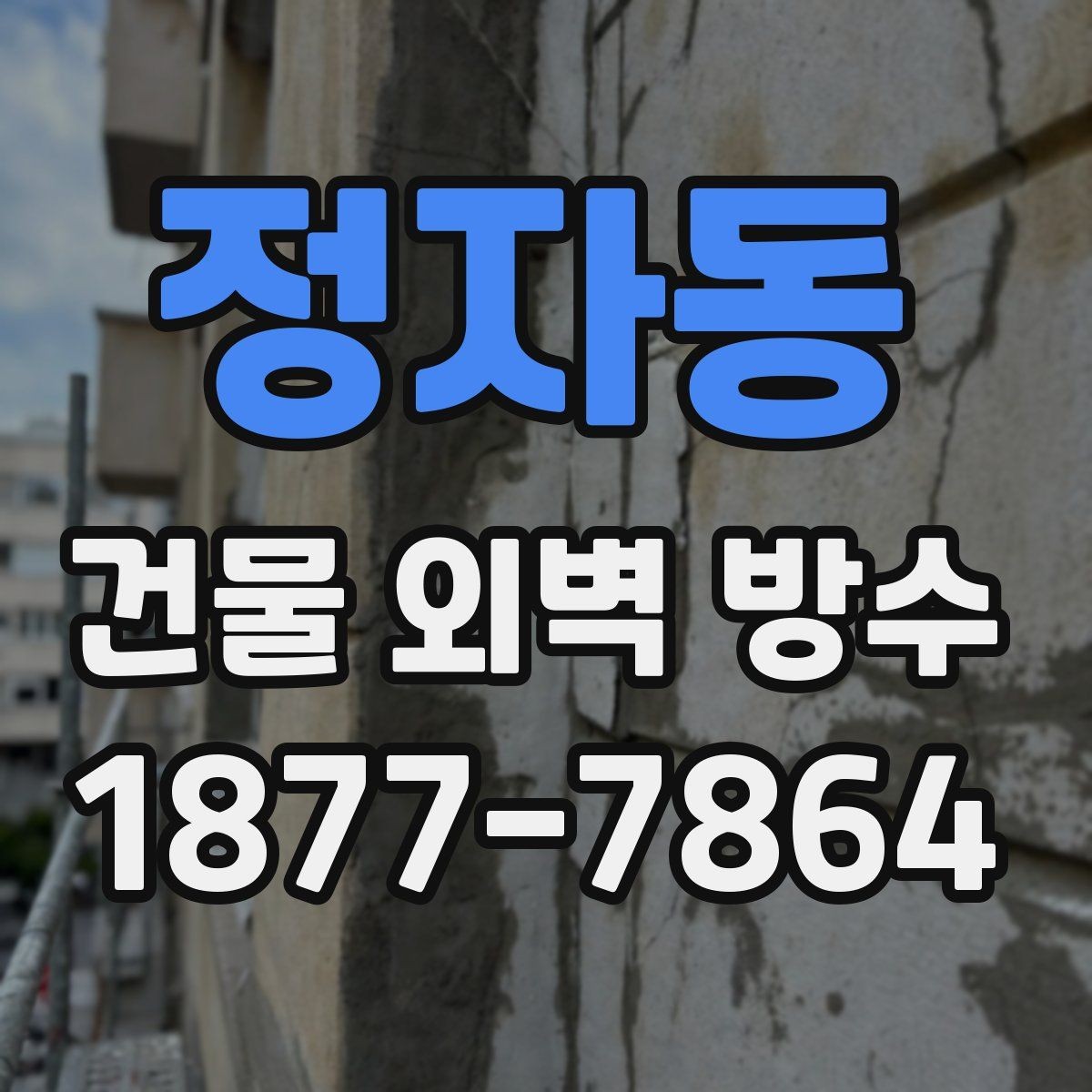 정자동 건물 외벽 방수 표면 상태가 결과에 미치는 영향