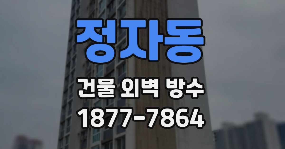 정자동 건물 외벽 방수