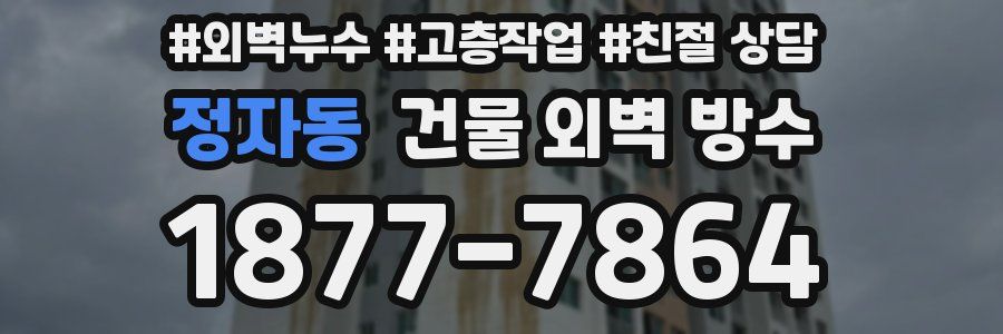 정자동 건물 외벽 방수