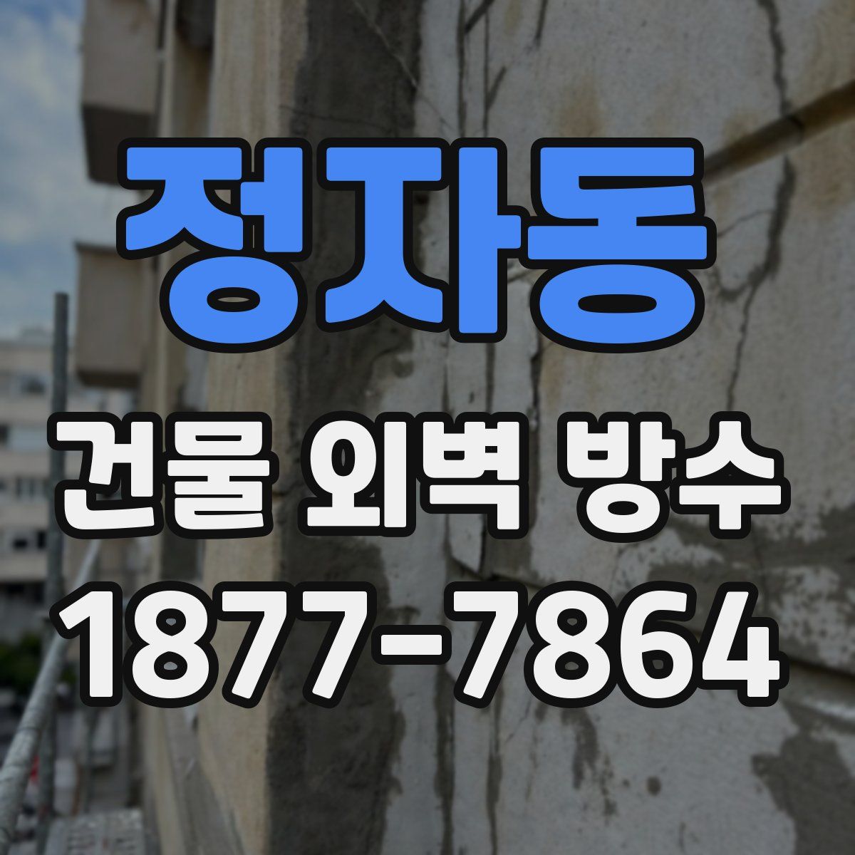 정자동 건물 외벽 방수