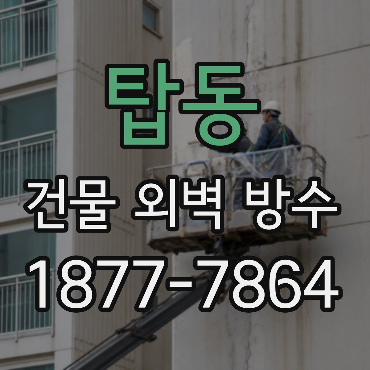 탑동 건물 외벽 방수