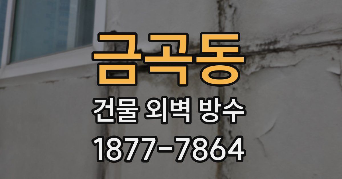 금곡동 건물 외벽 방수