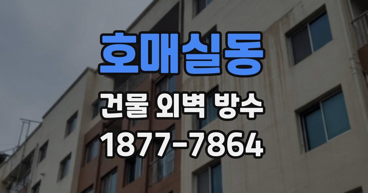 호매실동 건물 외벽 방수