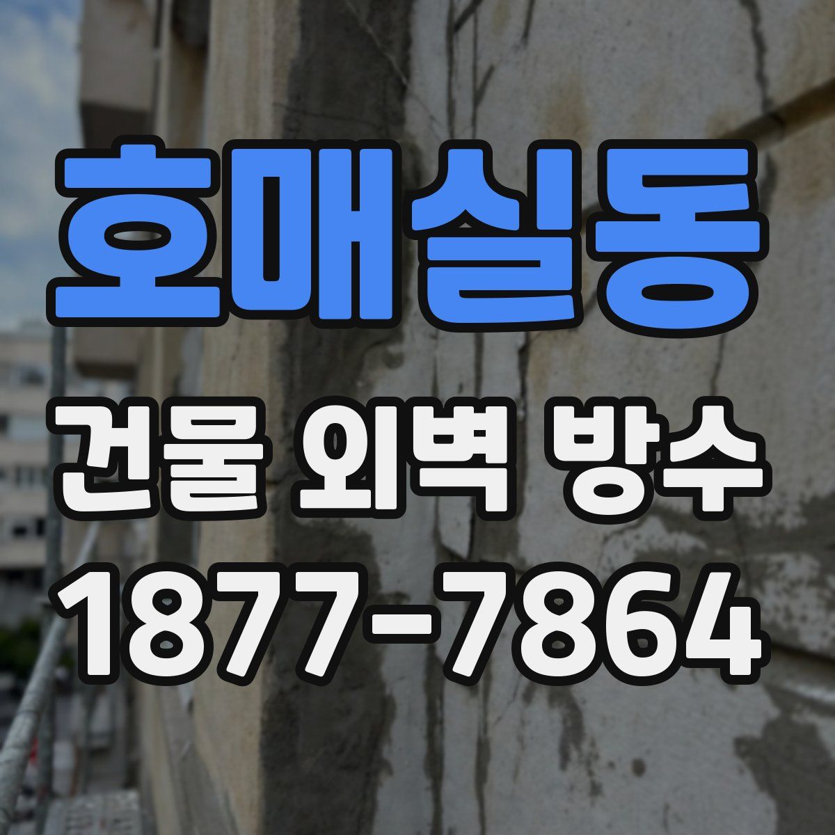 호매실동 건물 외벽 방수