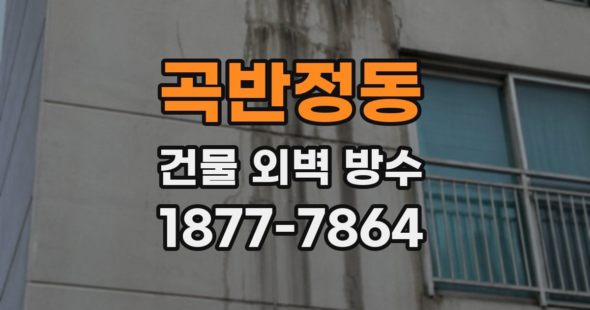 곡반정동 건물 외벽 방수