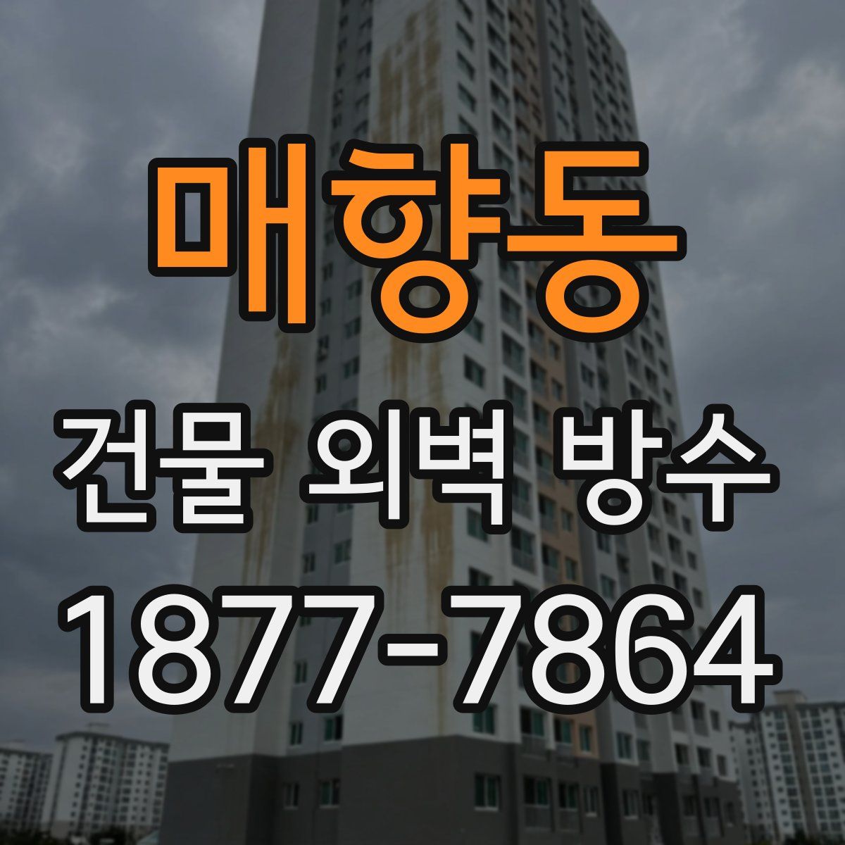 매향동 건물 외벽 방수