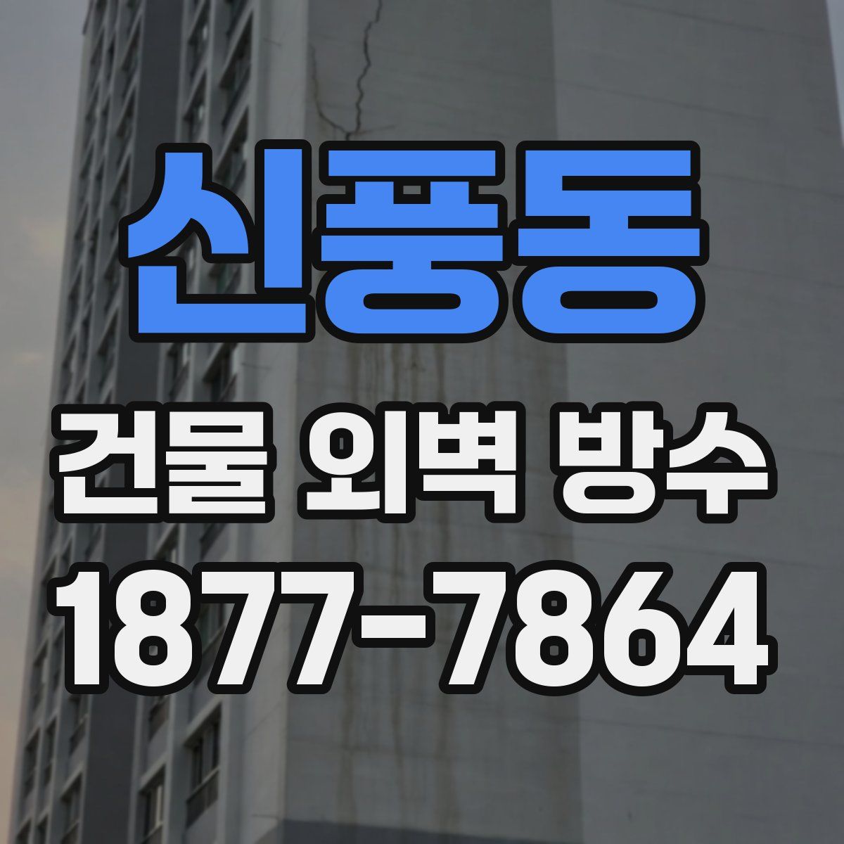 신풍동 건물 외벽 방수