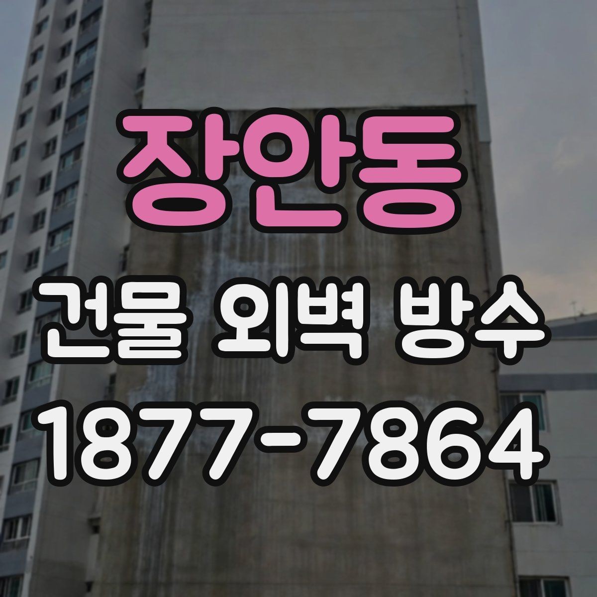 장안동 건물 외벽 방수 비용과 공사 범위를 함께 보는 이유