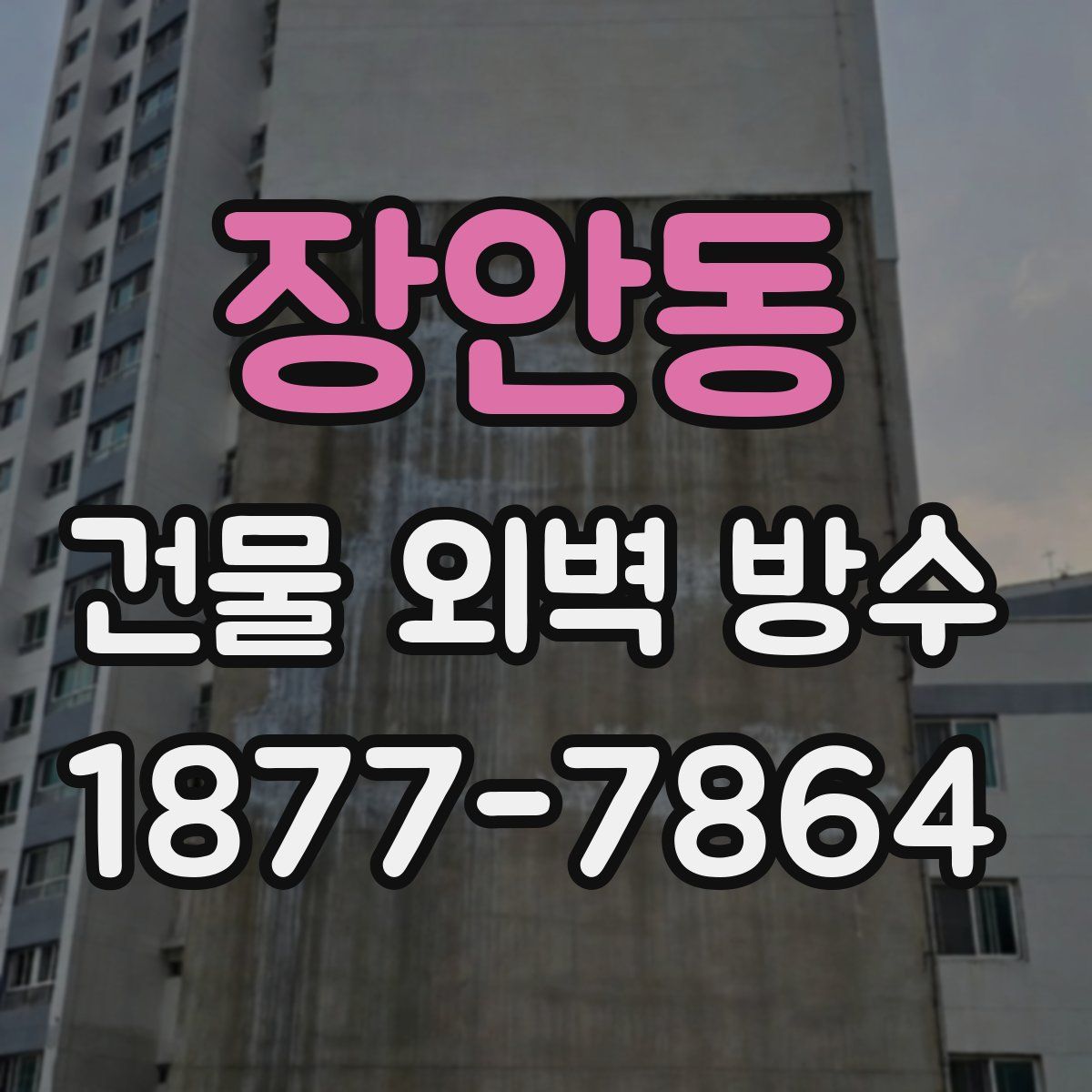 장안동 건물 외벽 방수