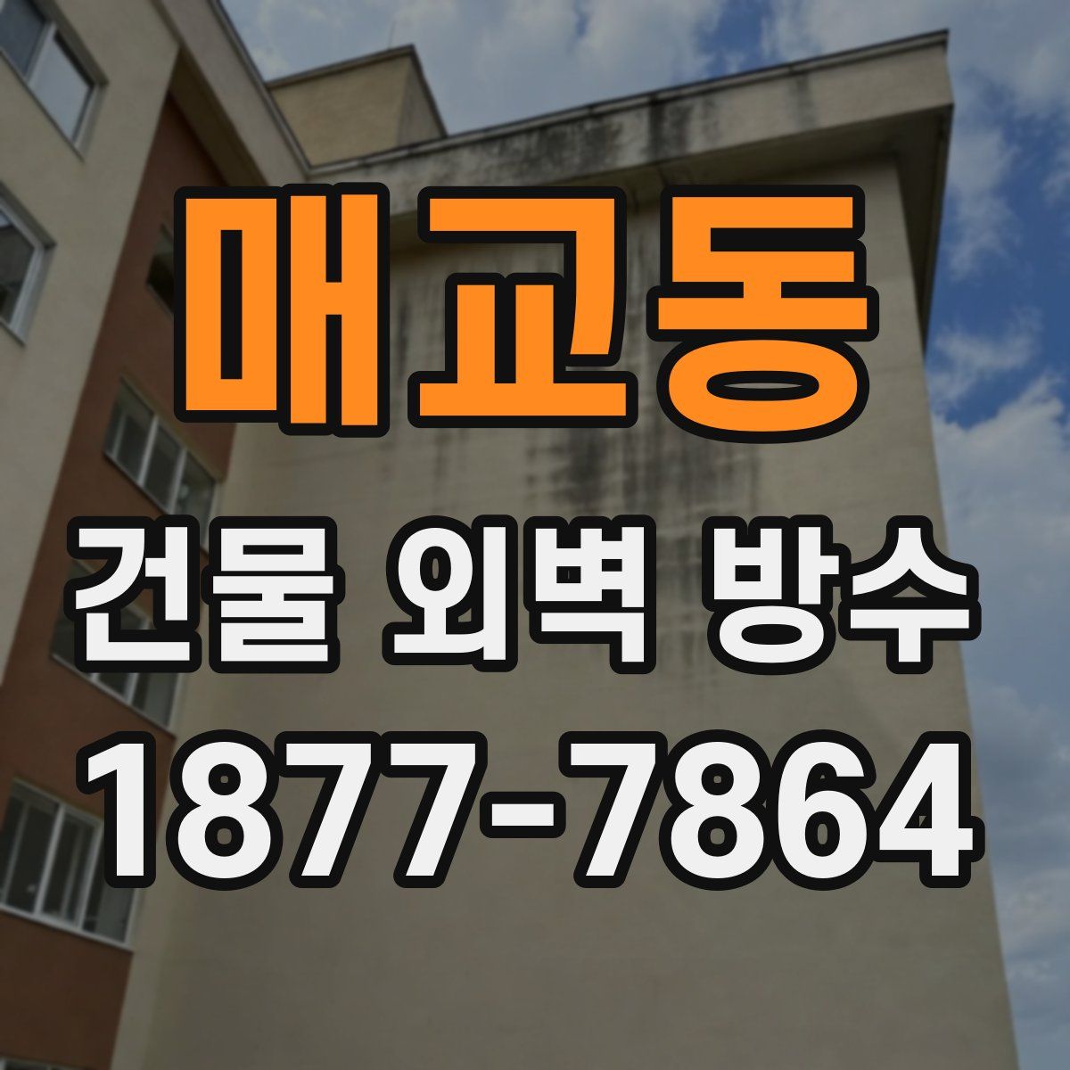매교동 건물 외벽 방수