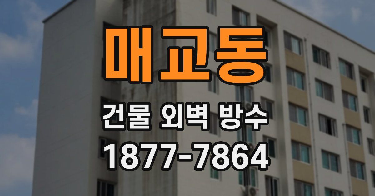 매교동 건물 외벽 방수