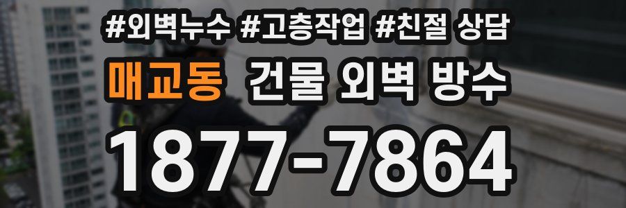 매교동 건물 외벽 방수