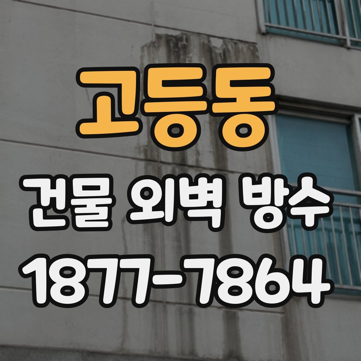고등동 건물 외벽 방수