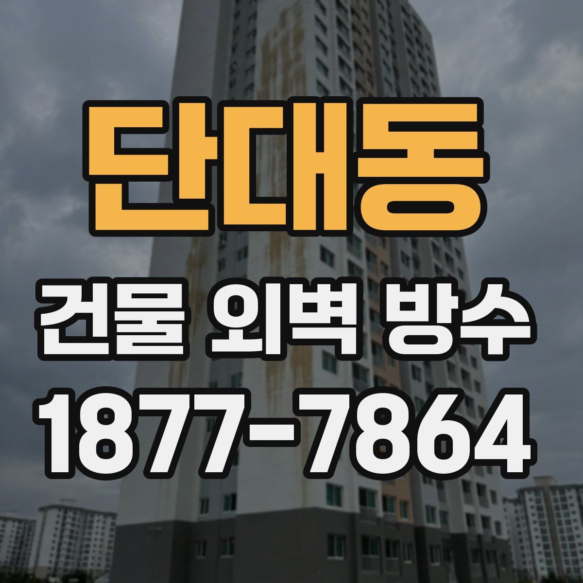 단대동 건물 외벽 방수