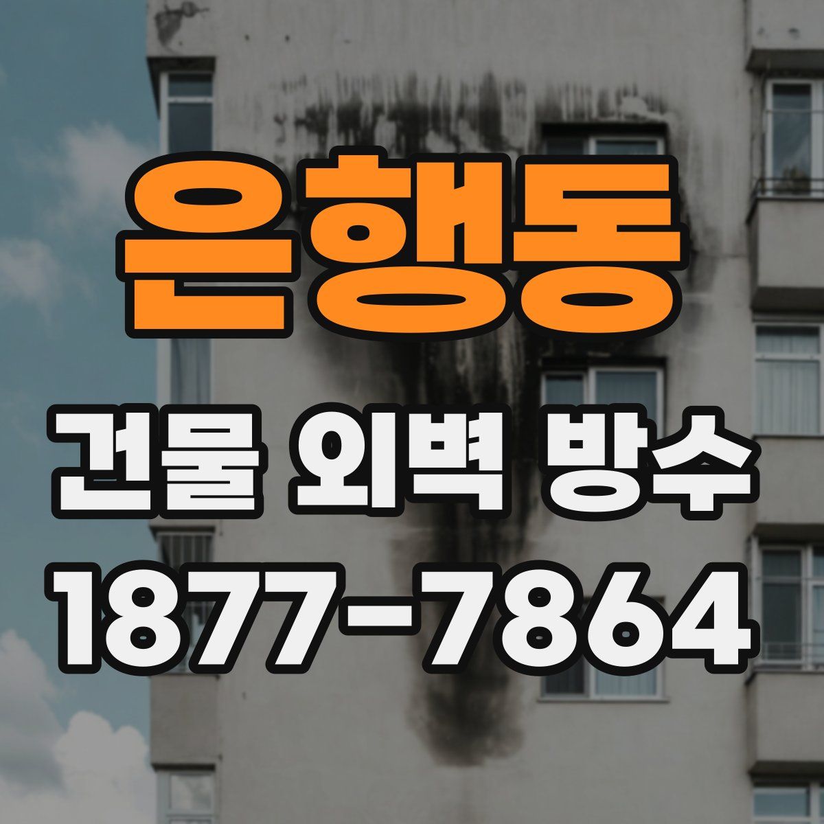 은행동 건물 외벽 방수