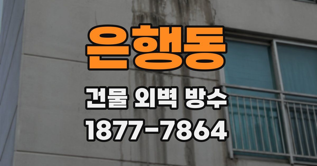 은행동 건물 외벽 방수