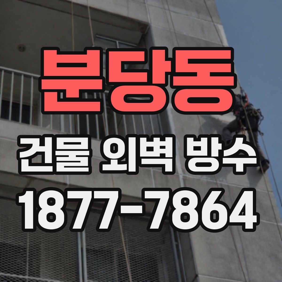 분당동 건물 외벽 방수