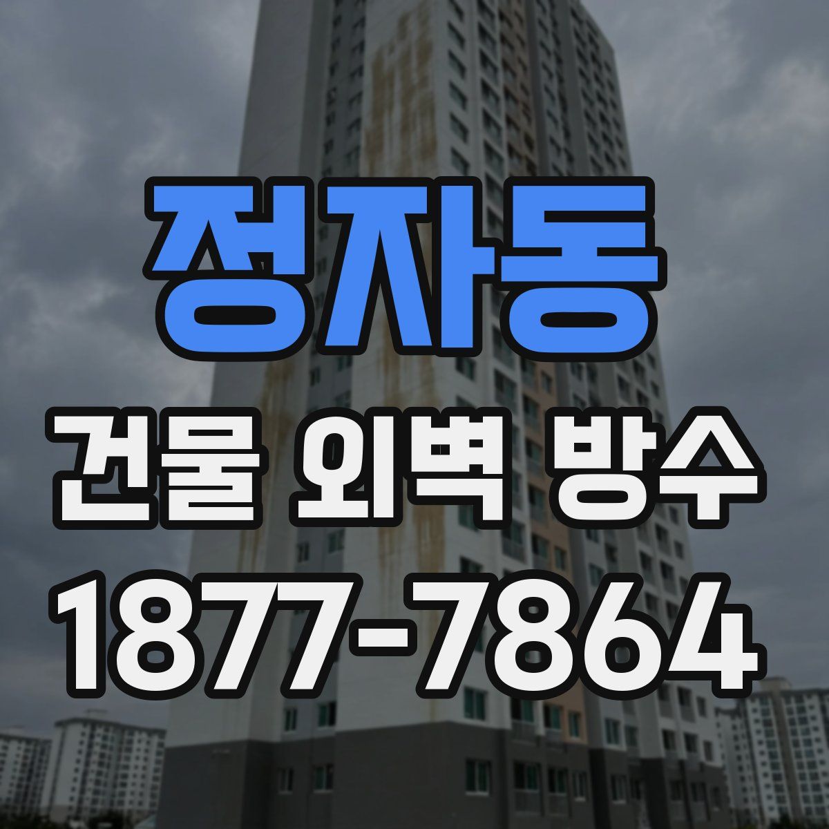 정자동 건물 외벽 방수