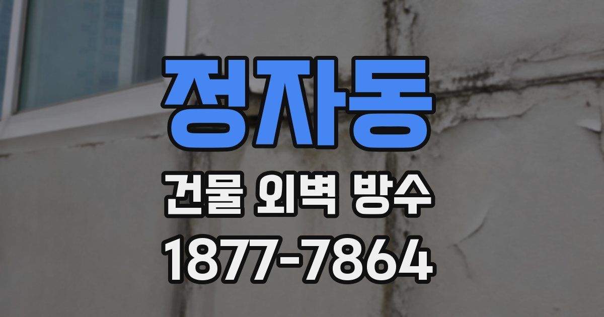 정자동 건물 외벽 방수