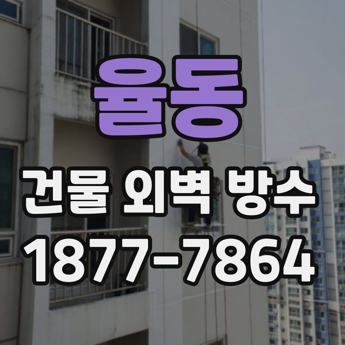 율동 건물 외벽 방수