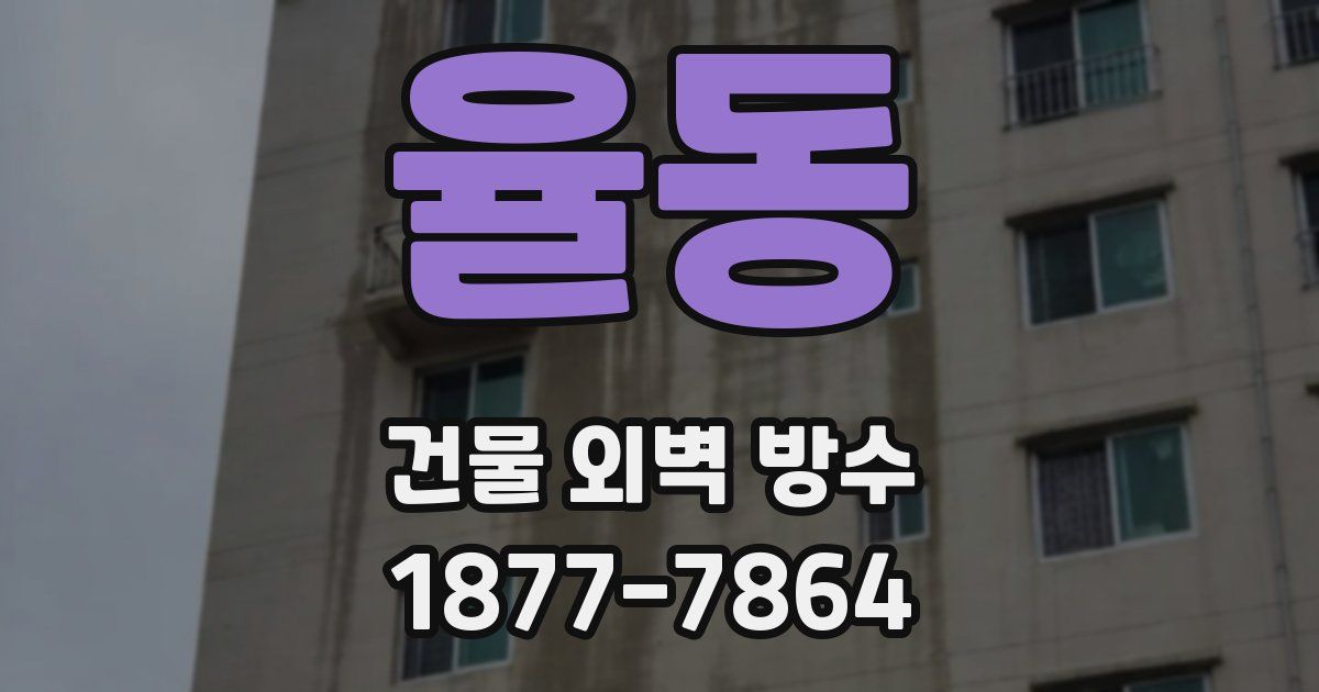 율동 건물 외벽 방수